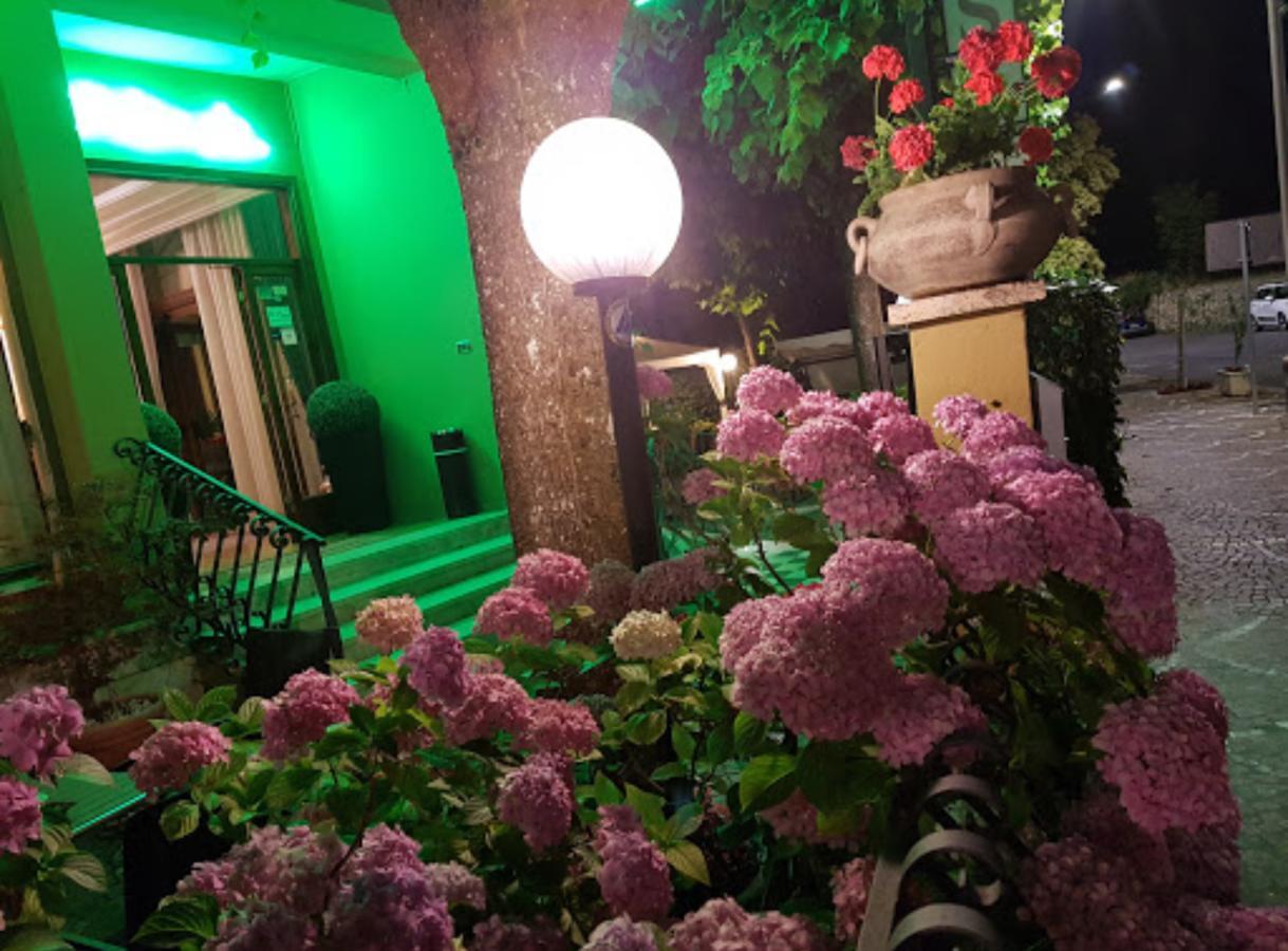 Hotel Delle Ortensie 3*